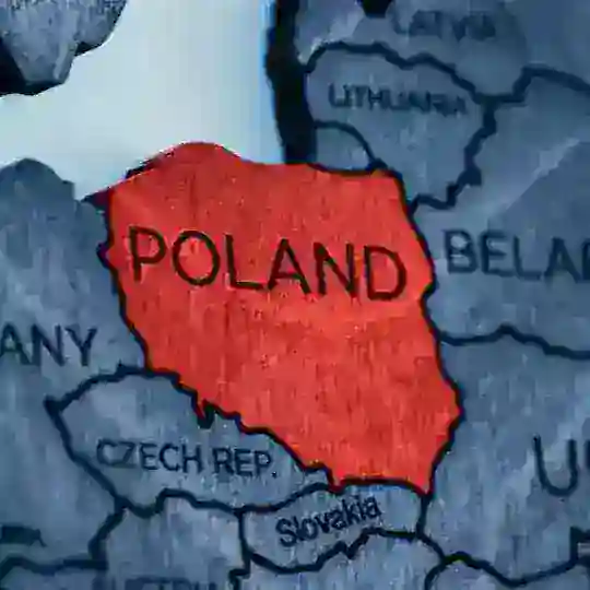 Polonya Yardımlaşma Ve Dayanışma Grubu 🇵🇱🇪🇺🇹🇷