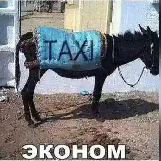 Попутчик28рус