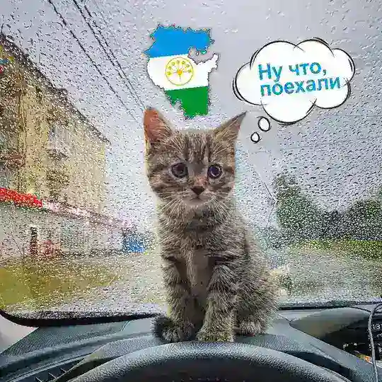 Попутчики Уфа - Башкирия| Попутчики в Уфу