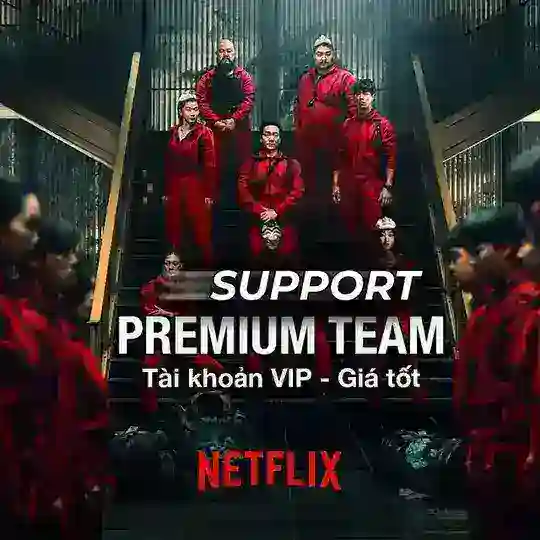 Premium Team Support