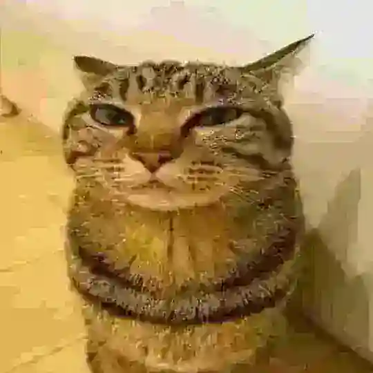 Chat Инвесторов 💰