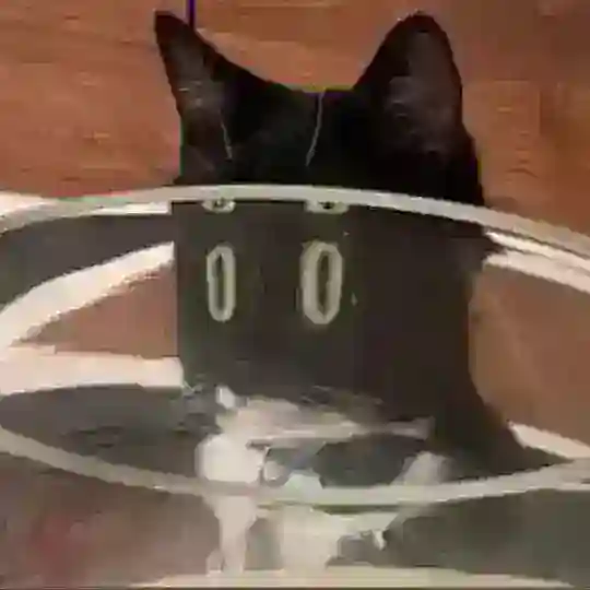 Продакт аналитикс Chat