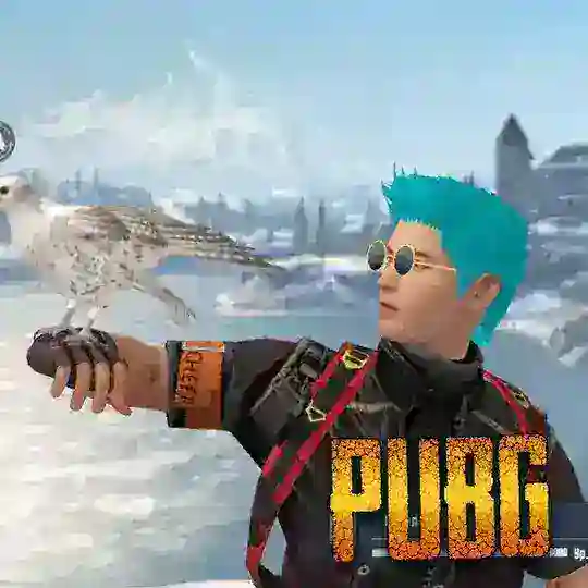 PUBG LITE 🎮