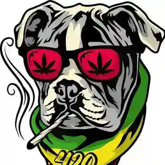 Puffydogcoin V2 #PUFFYLOUNGE