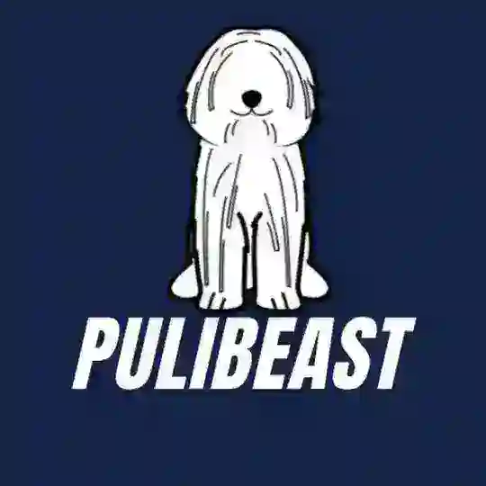 PULIBEAST Official 🐶🐶🐶 - We're LIVE ON PANCAKESWAP 🚀🚀🚀🚀🚀🚀🚀🚀