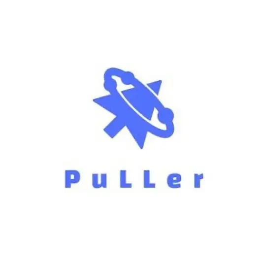 PuLLer Chat