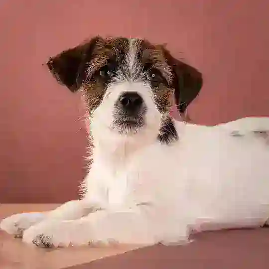 МАРТА ❤️