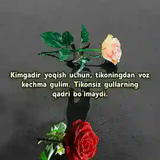 ͜͡͡🤴͜͡YURAGIMDA SAN GULMM👸͜͜͡