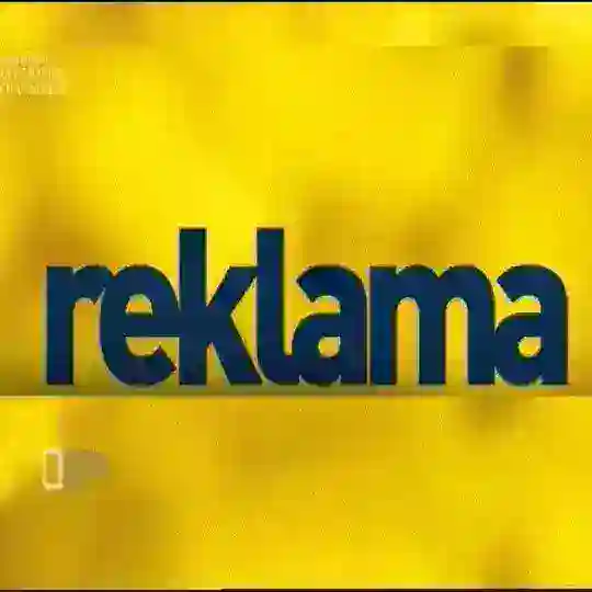 TEKIN REKLAMA