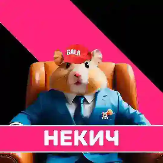 Некич chat