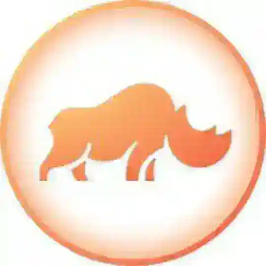 RhinoFi Official Global Community