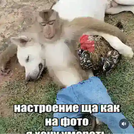 ХЯКН