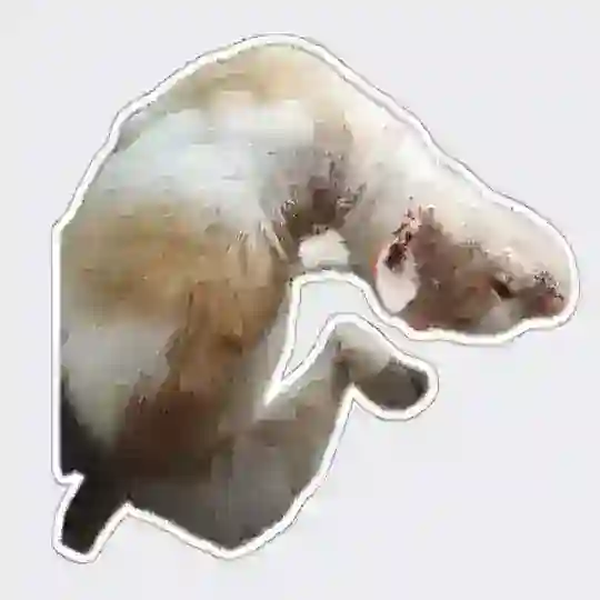 RUKOZEPETO CHAT