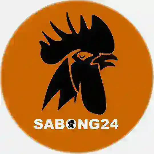 Sabong 24