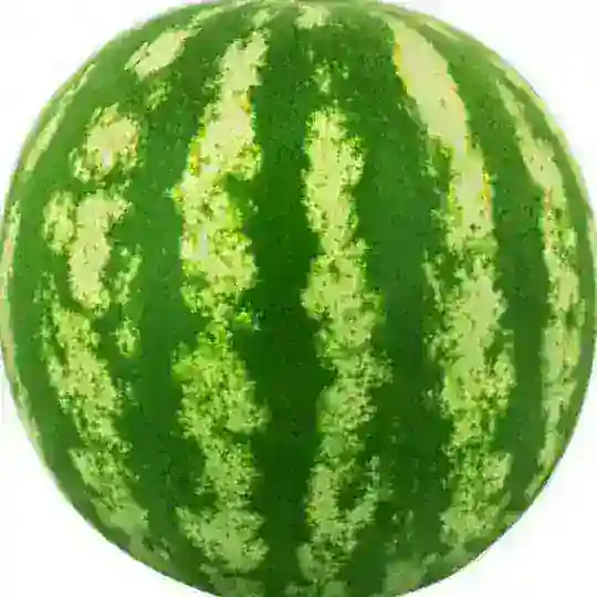 Скуфляндия