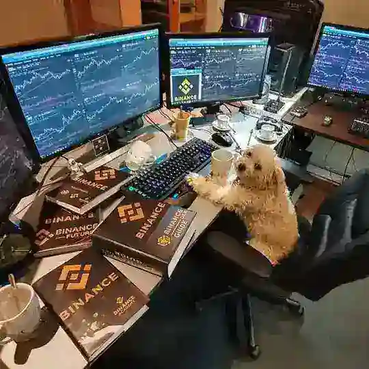 Học Viện Crypto - ( Holders Never Die )