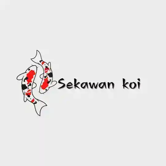 Sekawan Koi Auction
