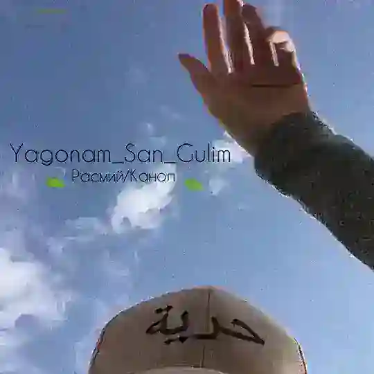 ❣️Yαgσηαм_Sαη_Gυℓιм |Расмий Сахифа ⋮⁽❣️