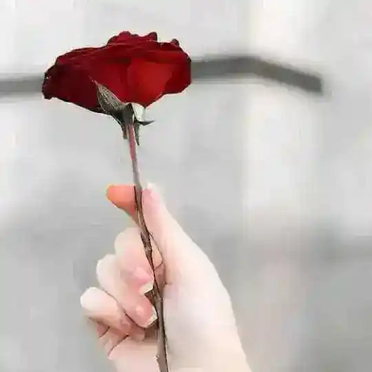 ☛♛_S̶O̶H̶B̶E̶T̶_Q̶U̶R̶U̶P̶U̶♛☚