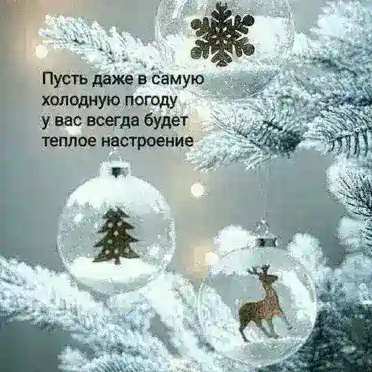 🧸꧁✨BAXT QASRI 🌸✨💔꧂