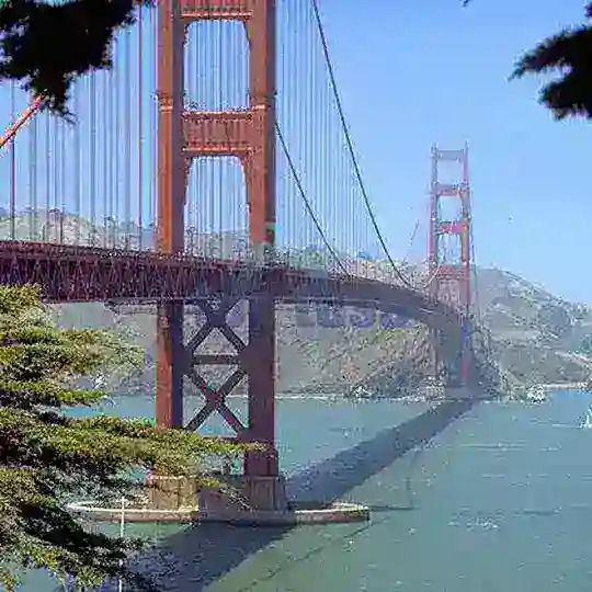 San Francisco chat / dating / work / business