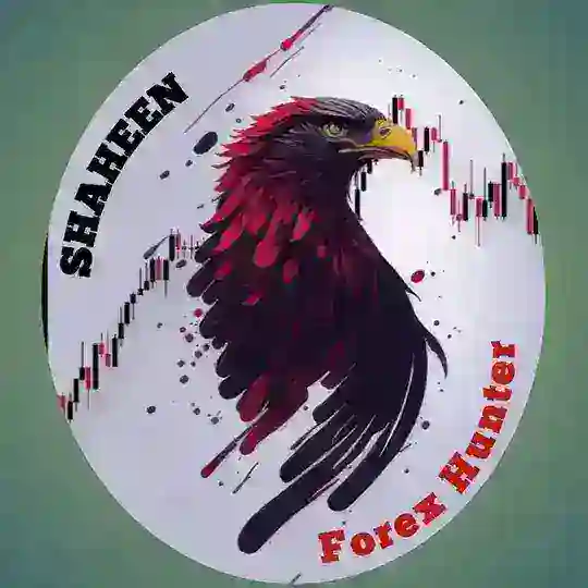 Shaheen Fx Hunter