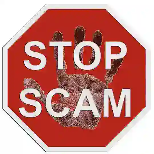 No scam Zone🚫