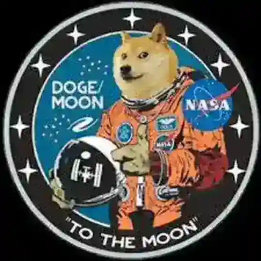 SHILLING COIN || MAKETING