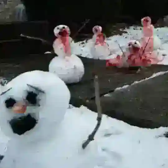 스노우맨 공부방 놀이터 ❄️