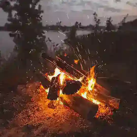 Дельта