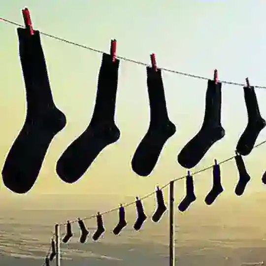 Socks_shop67