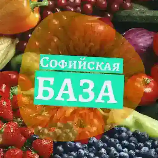 🍅 Софийская база