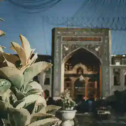 🇹🇷SÖHBƏT AZE🇹🇷