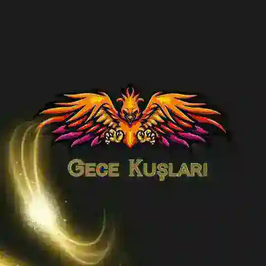 Gᴇᴄᴇ Kᴜꜱ̧ʟᴀʀı