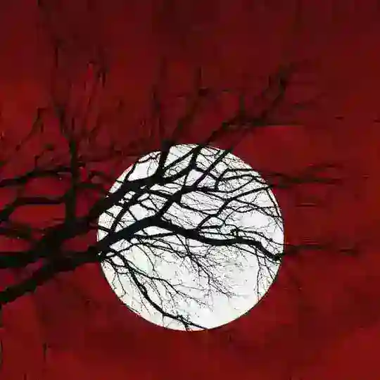 🇦🇿 𝕊𝕠̈𝕙𝕓𝕖𝕥 ℂ̧𝕙𝕒𝕥🇹🇷