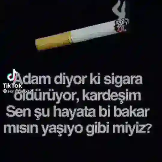 ༆𝕊𝕠̈𝕙𝕓𝕖𝕥 ℚ𝕣𝕦𝕡𖣘