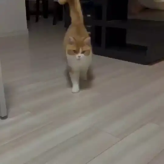 ❤❤ SOHBET VE ARKADAŞLIK GRUBU ❤❤