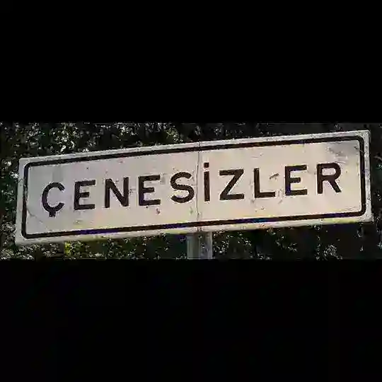 「ÇENESİZLER SOHBET」