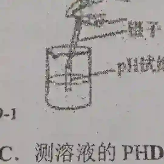 solveQuizChat电报做题群