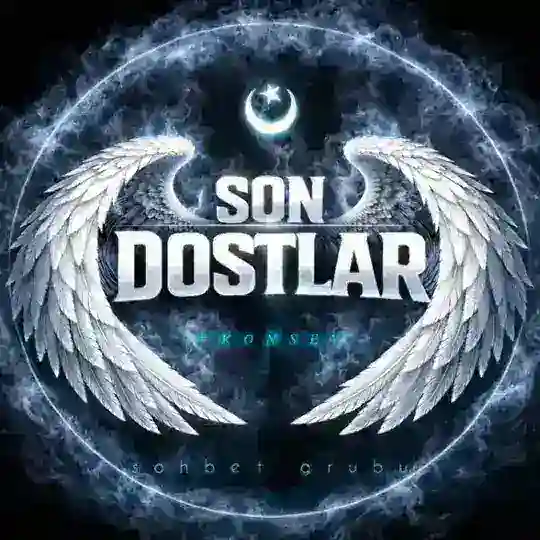 𝙎𝙊𝙉 𝘿𝙊𝙎𝙏𝙇𝘼𝙍 ヅ 🇹🇷 @SonDostlar
