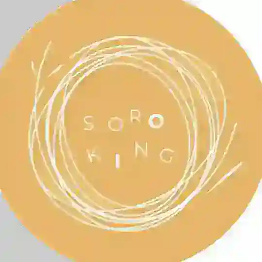 БИЗНЕС ЧАТ SoroKing | Воронеж