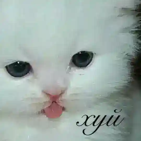 перекур