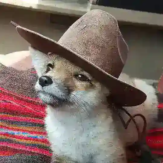 Speak Fur Yourself