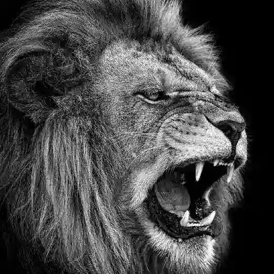 SPORTYWIN AFRICA 🌍 Telegram Group Avatar