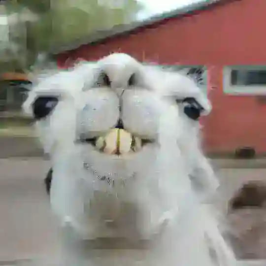 Sputi di lama🤤✨