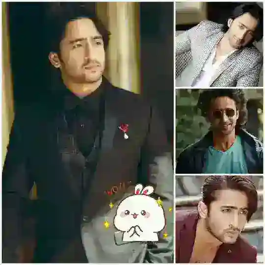 🖤SRK of Indonesia 😍 (Shaheer Sheikh ❣️)