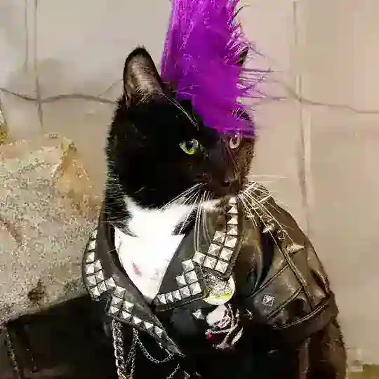 Студ-РОК 🤘🎸🎆