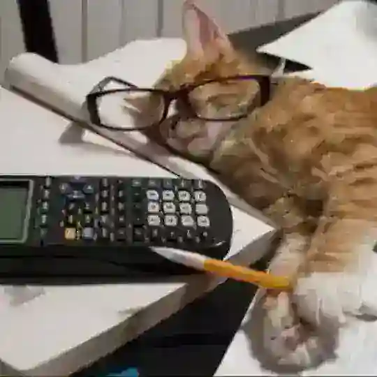 SPM Library (Nota, Latihan, Kertas Percubaan)