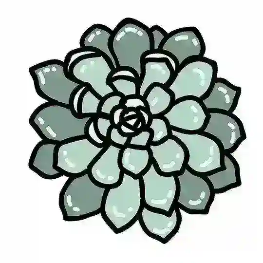 Суккуленты Чат 🌵
