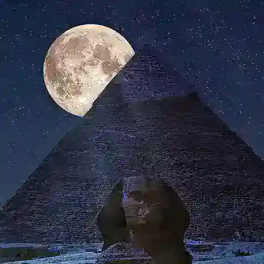 𝐒𝐔𝐂𝐇𝐄🔍